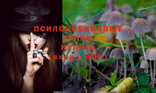спиды Володарск