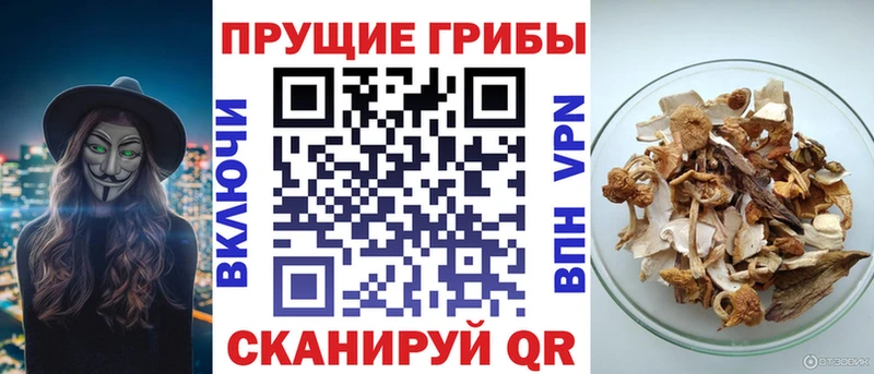 хочу наркоту  Щёлково  кракен ТОР  Галлюциногенные грибы Magic Shrooms 